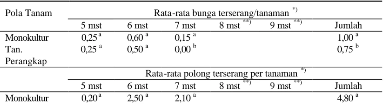 Tabel 4.  Kerusakan pada bunga  dan polong oleh M. testulalis pada tanamn kacang hijau                    monokultur dan pakai tanaman perangkap (kacang panjang)   