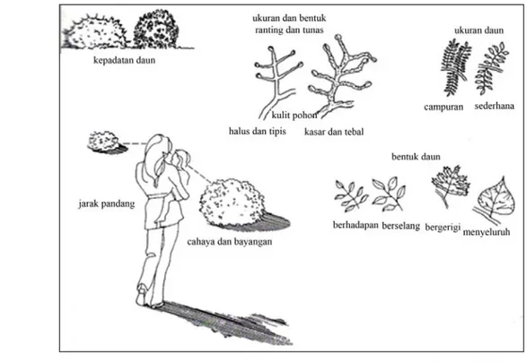 Gambar 2  Faktor penentu tekstur tanaman (Sumber: Hannabeum 2002) 