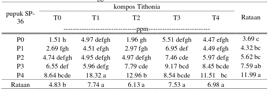 Tabel 4.  Pengaruh aplikasi kompos T. diversifolia, pupuk SP-36 dan interaksi kompos T