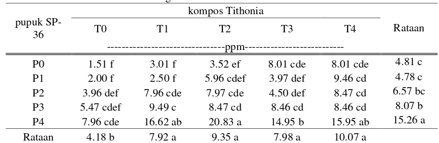 Tabel 5.  Pengaruh aplikasi kompos T. diversifolia, pupuk SP-36 dan interaksi kompos T