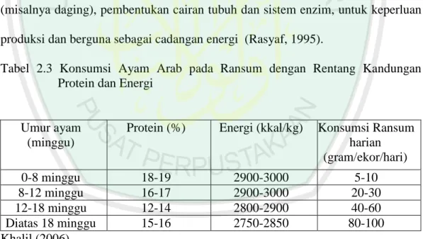 Tabel  2.3  Konsumsi  Ayam  Arab  pada  Ransum  dengan  Rentang  Kandungan  Protein dan Energi 