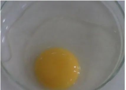Gambar 5. Putih Telur Kental