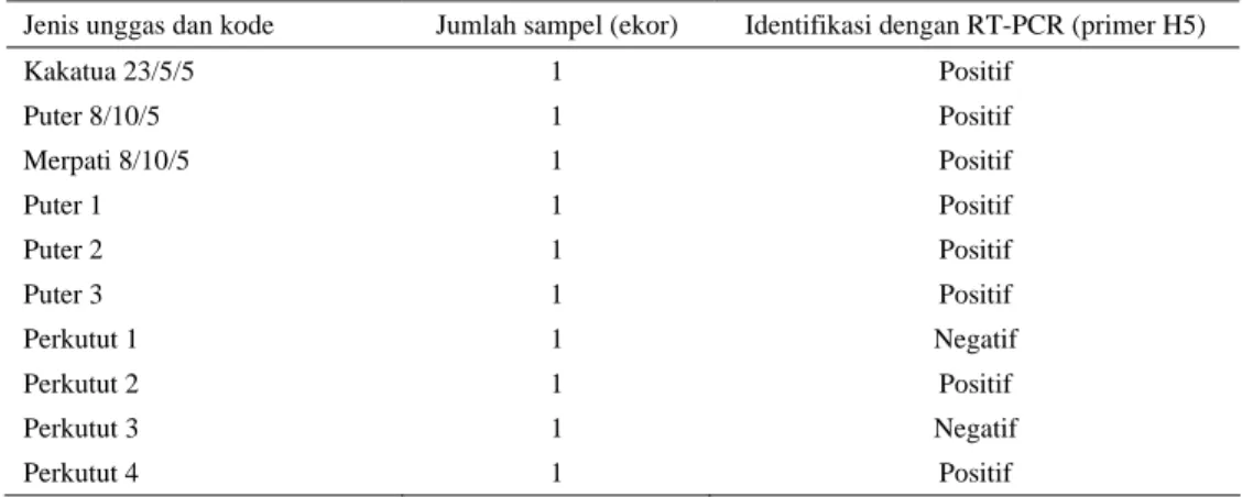 Tabel 3.  Hasil identifikasi virus avian influenza yang berasal dari usap kloaka dari beberapa jenis burung 
