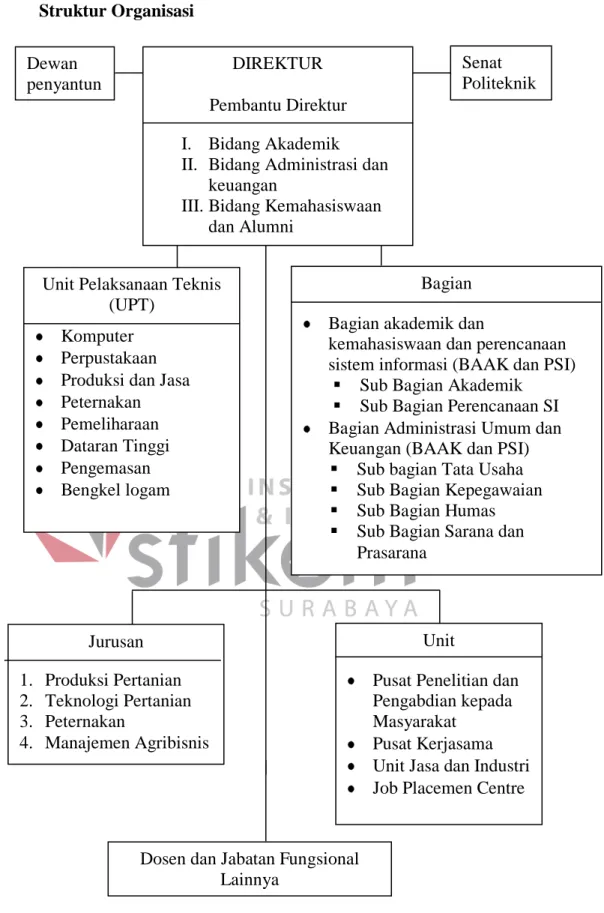 Gambar 2.1 Struktur Organisasi Politeknik Negeri Jember Dosen dan Jabatan Fungsional 