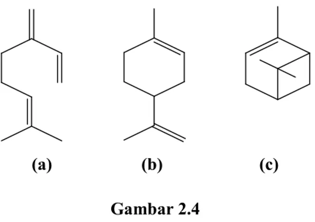 Gambar 2.3  Satuan Struktur Isopren 