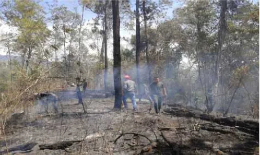 Gambar 1: “Pembakaran hutan yang terjadi di kawasan Seulawah Kecamatan Seulimuem”. 10 Oktober 2016.