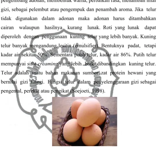 Gambar 2.4 Telur (Anonim d , 2013)