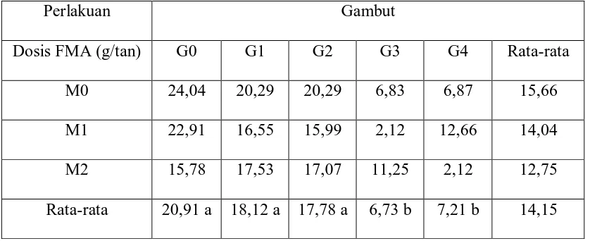 Tabel 6. Rataan Pengaruh Gambut dan Mikoriza terhadap persen kolonisasi               mikoriza bibit (%) 