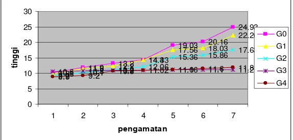 Gambar 1. Grafik pertumbuhan tinggi tanaman  mahoni                      dengan  dosis mikoriza M0 