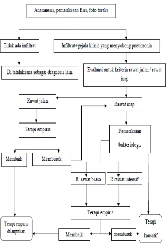 Gambar 3. Algoritma Terapi Pneumonia 