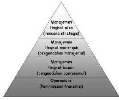 Gambar 2: Piramida SIM McLeod 