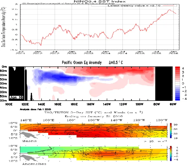 Gambar 1. Kondisi anomali suhu muka laut dan suhu bawah laut Pasifik, serta angin  pasatdi sekitar Pasifik Ekuatorial sampai tanggal 31 Januari 2016 (Sumber : BoM) 