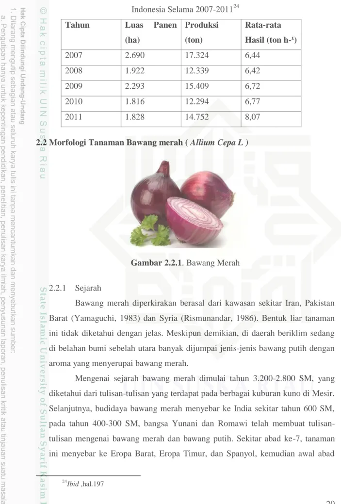 Gambar 2.2.1. Bawang Merah 