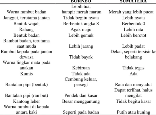 Tabel 1. Perbedaan fisik orangutan Borneo dengan orangutan Sumatera 
