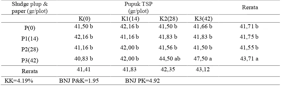Tabel 8. Rerata Berat Biji Jagung dengan Perlakuan Sludge Pulp dan TSP.