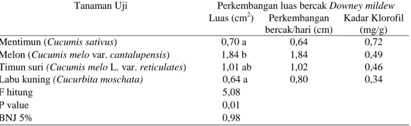 Tabel  3.  Perkembangan  luas  bercak  Downy  mildew  di  daun  uji  yang  disebabkan  Pseudoperonospora cubensis 