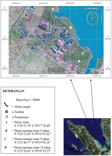 Gambar 2. Peta Desa Kayu Besar dalam wilayah Kabupaten Serdang Bedagai         (Sumber : Google Earth 2007)