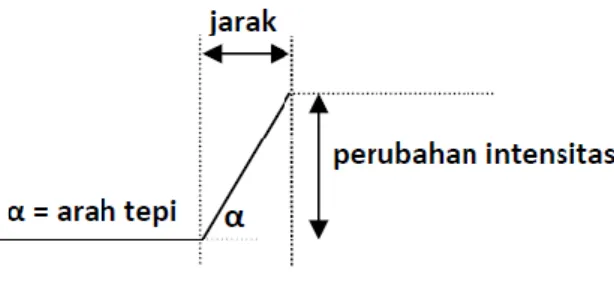 Gambar 2.8 Model Tepi Satu Dimensi 