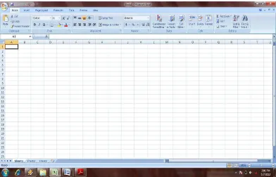 Gambar 4.2 Lembar Kerja Microsoft Excel 2007 