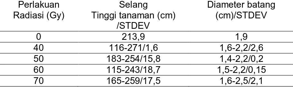 Tabel 1. Pertumbuhan tinggi tanaman galur mutan M2 