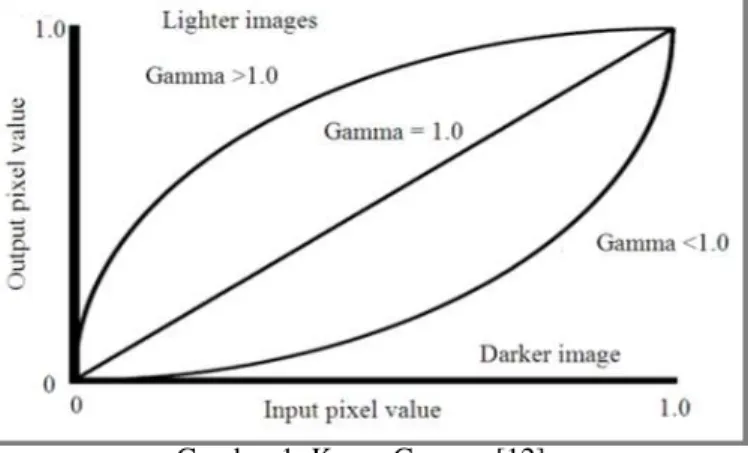 Gambar 1: Kurva Gamma [12]. 