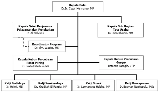 Gambar 2. Bagan Struktur Organisasi BPTP Sumatera Utara