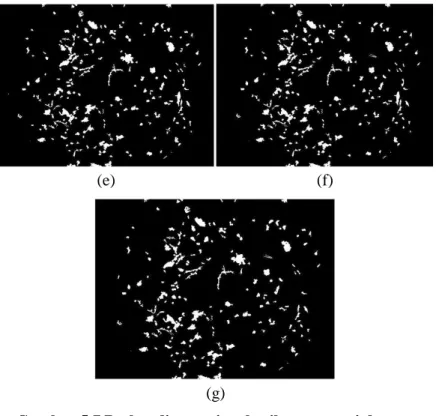 Gambar 5.7 Perbandingan citra hasil segmentasi dengan  skenario pengujian 2 pada image020.png (bagian 2); (e) hasil 