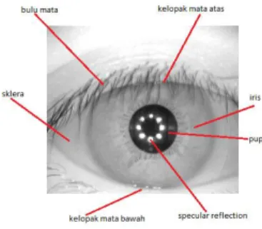 Gambar 1. Bagian-bagian citra mata 