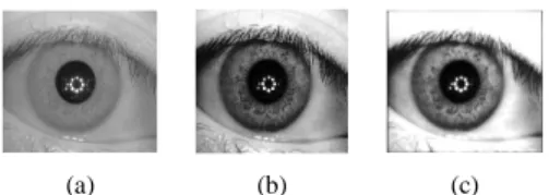 Gambar 3. (a) Citra iris asli, (b) Citra iris pada Gambar 3a yang  telah disesuaikan kekontrasannya, (c) Citra iris setelah dihaluskan 