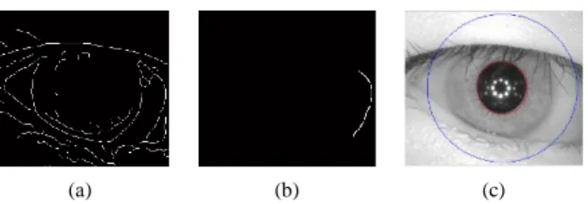 Gambar 15. (a) Peta tepi iris, (b) Titik-titik tepi dg komponen  terbesar, (c) Kesalahan deteksi batas luar lingkaran iris