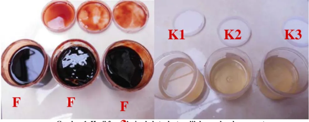 Gambar 1. Hasil formulasi gel ekstrak etanolik bunga kembang sepatu  Keterangan:  