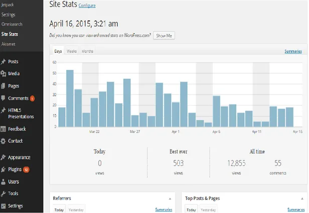 Gambar  48. Tampilan Site Stats 