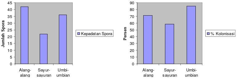 Gambar 3. Grafik Kepadatan Spora CMA (Jumlah Spora / 10 gr Tanah) dan % kolonisasi akar 