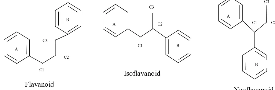 Gambar 2 Jenis-jenis struktur flavanoida 