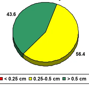 Gambar  6. Persentase Diameter Bibit Sungkai (%) 