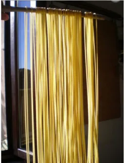 Gambar 1. Spaghetti (Wikipedia, 2017) 