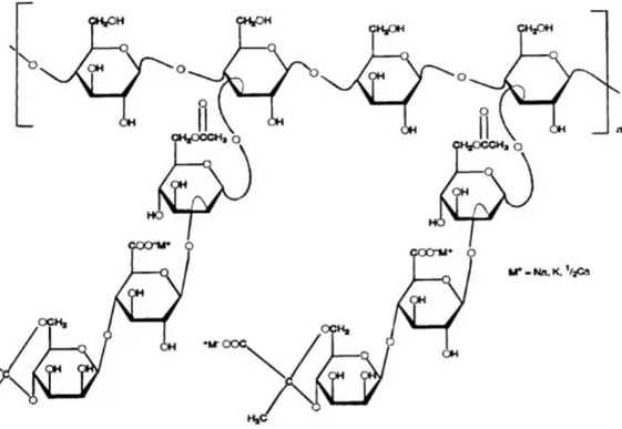 Gambar 3. Struktur kimia xanthan gum (Garcia-Ochoa, dkk., 2000) 