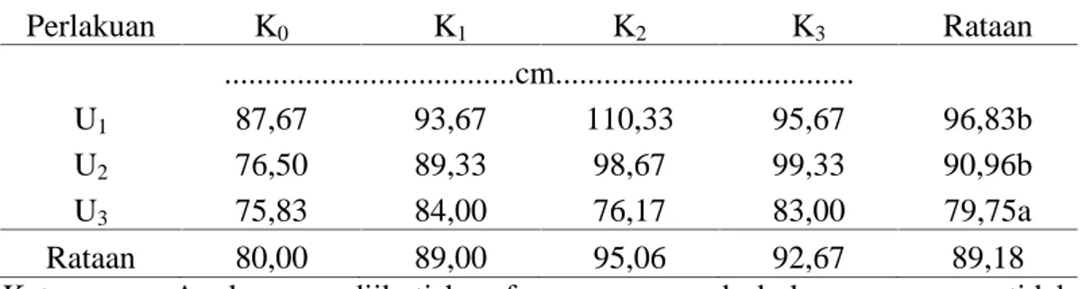 Tabel 1. Rataan Tinggi Tanaman Kakao (Theobroma cacao L.) dengan Pemberian Pupuk  Kompos  Daun  Kelapa  Sawit  dan  Umur  Pindah  Bibit  Umur  10 MSPT Perlakuan K 0 K 1 K 2 K 3 Rataan ....................................cm..................................