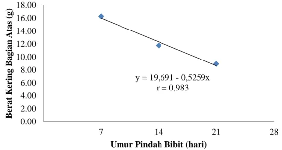 Gambar 7. Grafik Hubungan Antara Umur Pindah Bibit Terhadap Berat Kering Bagian Atas Bibit Kakao Umur 10 MSPT