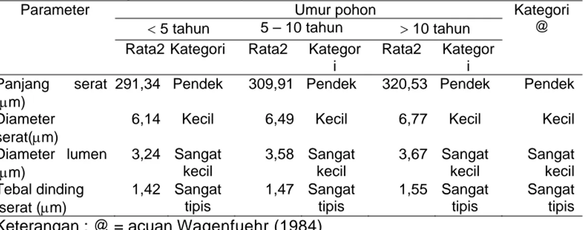 Tabel 1.    Nilai rata-rata dimensi serat kayu manis (Cinnamomum burmanii Blume)   pada tiga kelas   umur pohon 