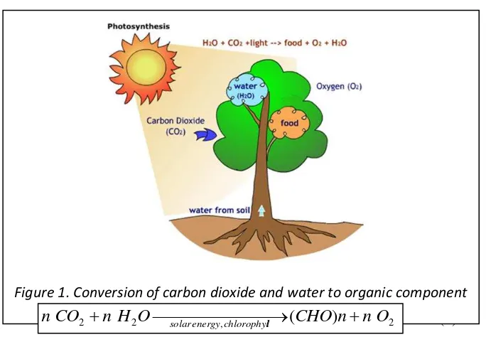 Figure 1. Conversion of carbon dioxide and water to organic component 