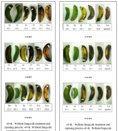 Figure 3.1 Banana color index change 