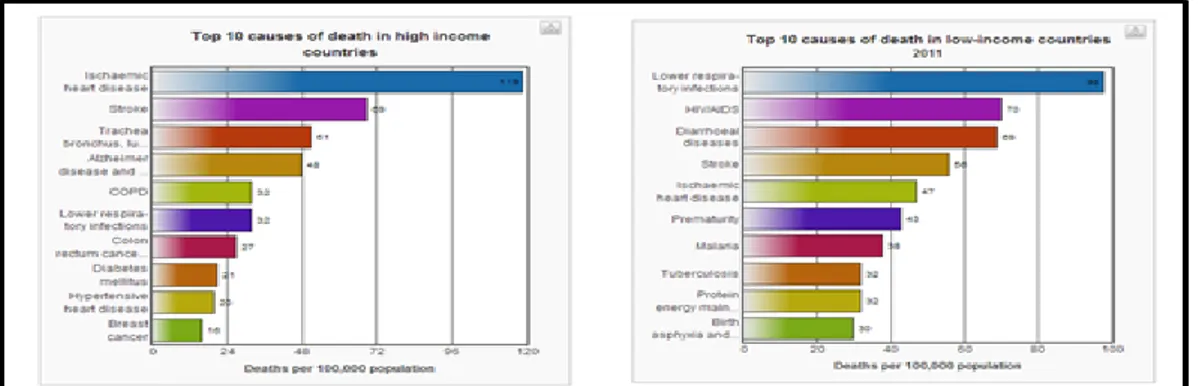 Gambar 1 Grafik 10 Penyakit Penyebab kematian pada Negara Maju dengan Pendapatan  Tinggi dan Rendah 