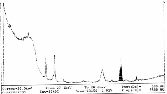 Gambar 2.  Spektrum unsur iodium 
