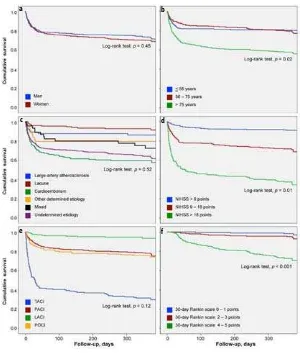 Figure 2. Kaplan-Meier estimates of the 12-month mortality for patients with ﬁrst-ever ischaemic stroke (n = 1040), as a function of gender (a), age group (b), ischaemic stroke mechanisms (c), NIHSS at admis-sion (d), Oxford Community Stroke Project classiﬁcation (e) and 30-day Rankin score (f).