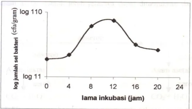 Gambar  3.  Skema  Perubahan  Kimiawi  dalam  Pulp  selama  Proses Fermentasi 