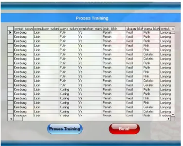 Gambar 5. Proses Training 