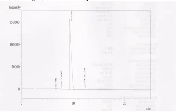 Gambar 4.  Kurva Analisa Gas Chromatography 