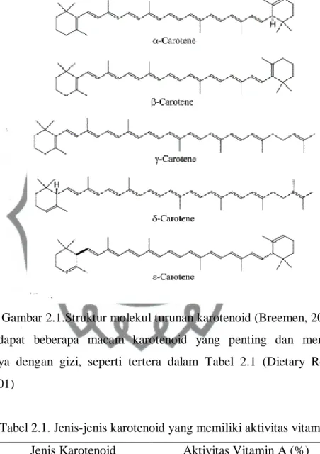 Gambar 2.1.Struktur molekul turunan karotenoid (Breemen, 2011)  Terdapat  beberapa  macam  karotenoid  yang  penting  dan  mempunyai  hubungannya  dengan  gizi,  seperti  tertera  dalam  Tabel  2.1  (Dietary  Reference  Intakes, 2001) 