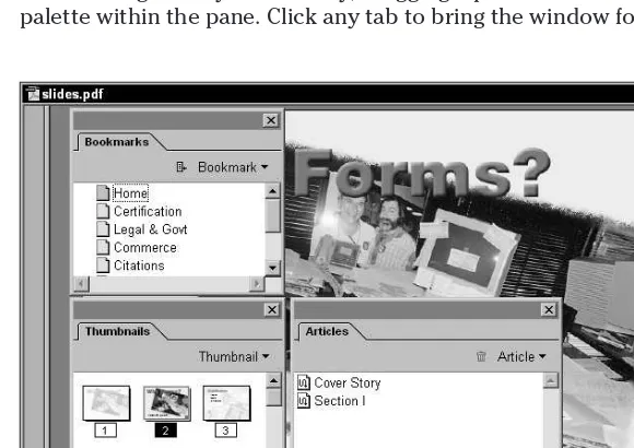 Figure 2-22: All of the tabs are removed from the Navigation pane and Window menu and relocated in the Reader window.